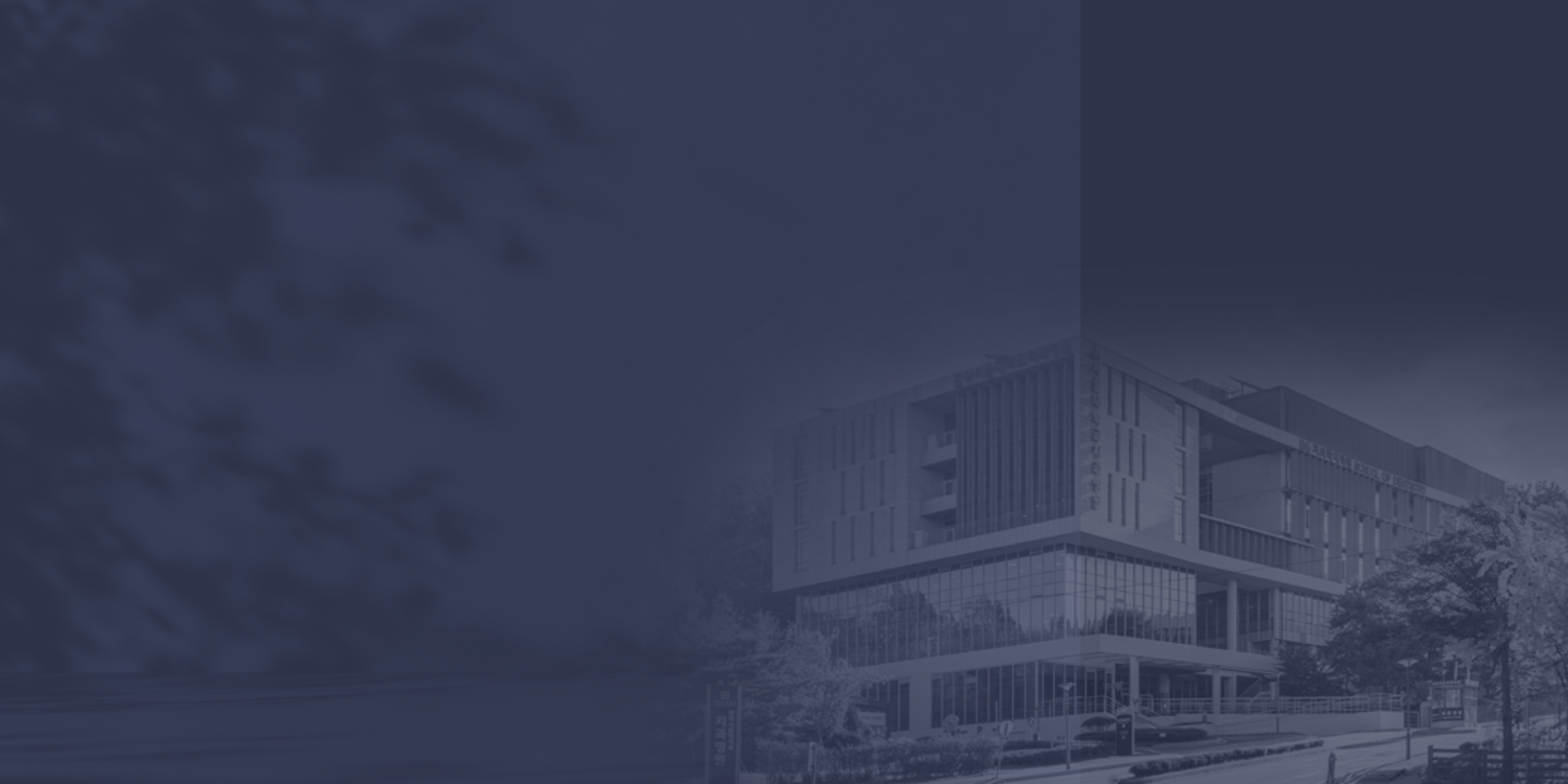 우리동네 서울대 치과병원